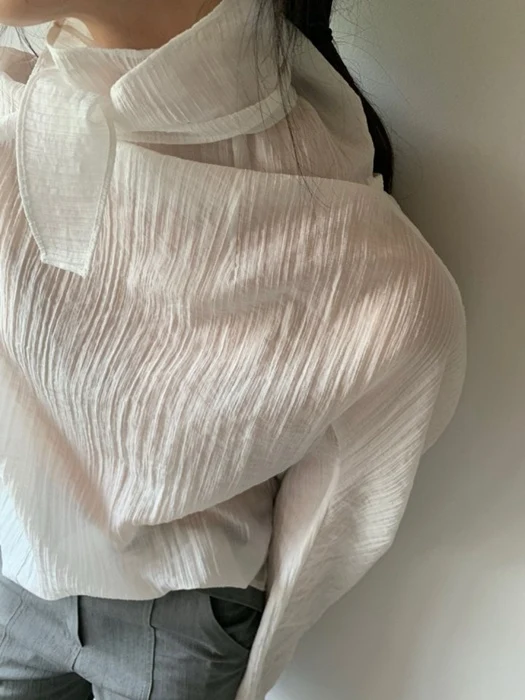 Teddy Blouse Teddy Blouse