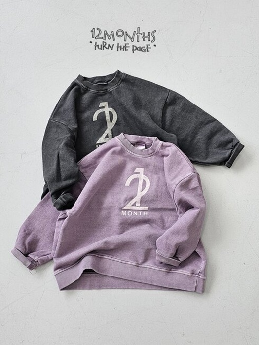 12 Pig Sweatshirt (Adult) 12 Pig Sweatshirt (Adult)