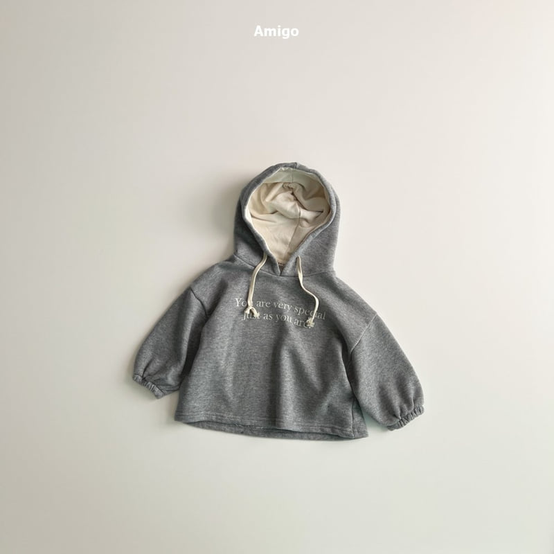 Amigo - Korean Baby Fashion - #babyboutique - Special Hoodie - 6