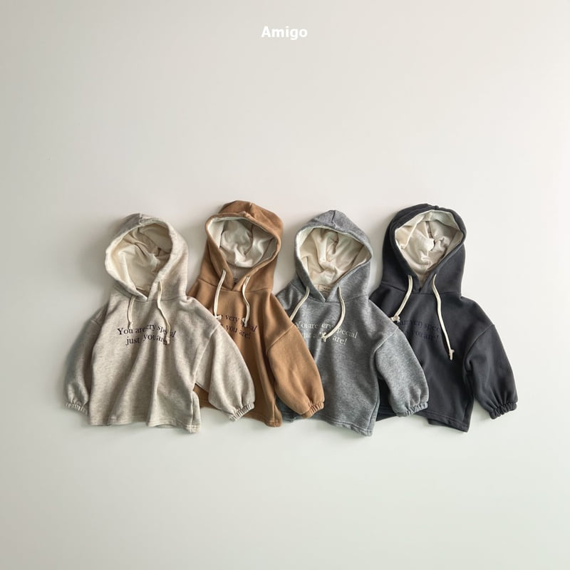 Amigo - Korean Baby Fashion - #onlinebabyboutique - Special Hoodie - 3