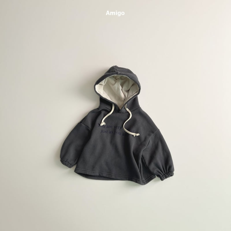 Amigo - Korean Baby Fashion - #onlinebabyboutique - Special Hoodie - 4