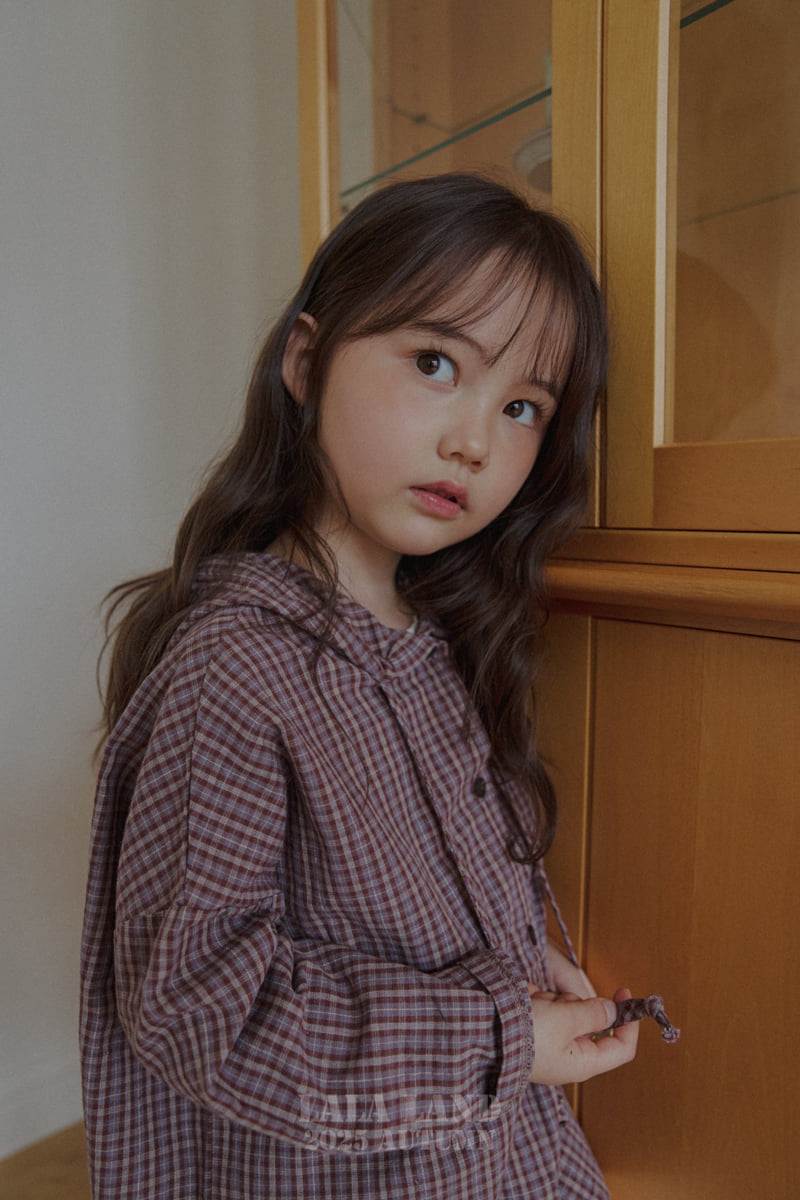 Lalaland - Korean Baby Fashion - #babyoutfit - kids Hoodie Check Shirt - 10