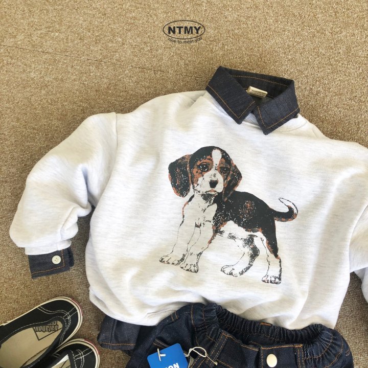 Nice To Meet You - Korean Children Fashion - #kidsshorts - Beagle Sweatshirt - 9
