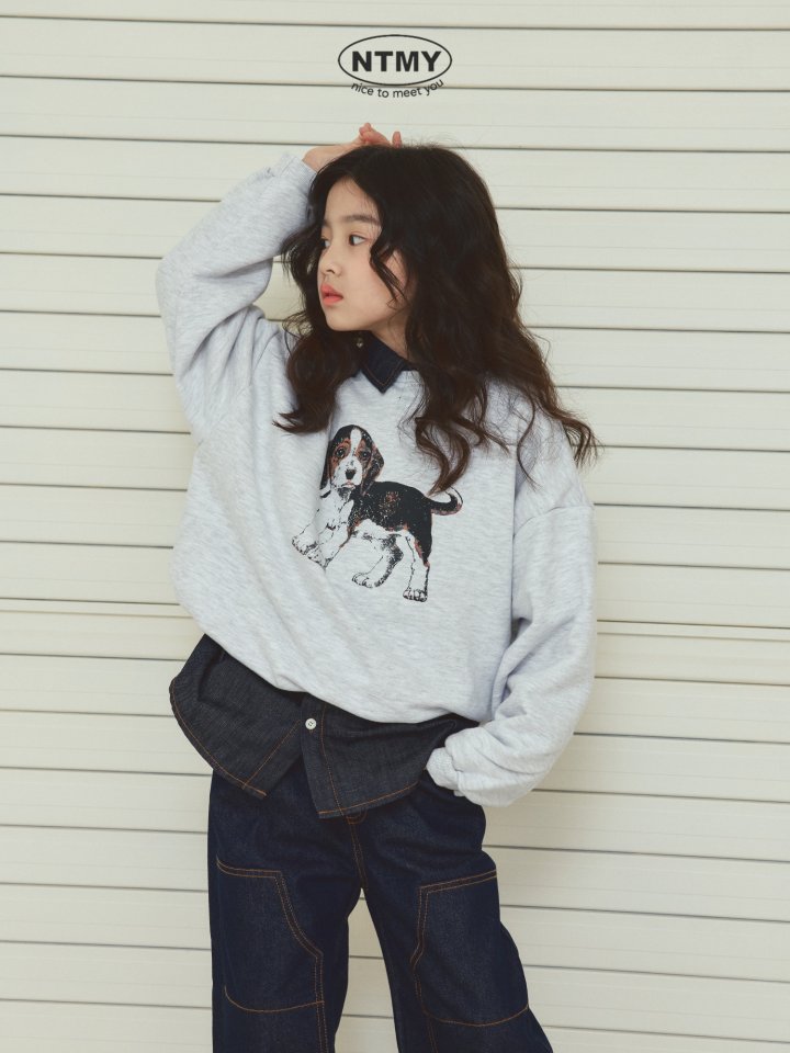 Nice To Meet You - Korean Children Fashion - #kidzfashiontrend - Beagle Sweatshirt - 11