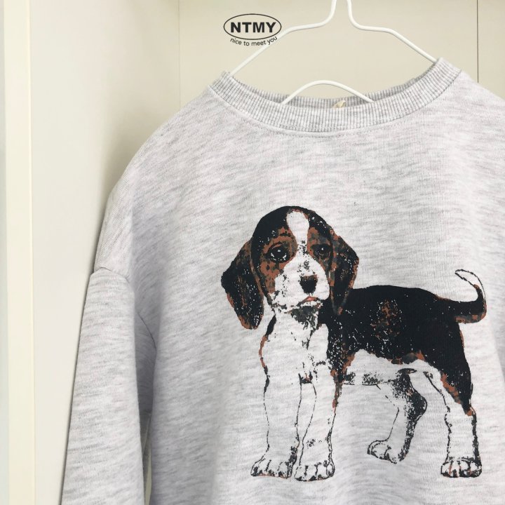 Nice To Meet You - Korean Children Fashion - #toddlerclothing - Beagle Sweatshirt - 2