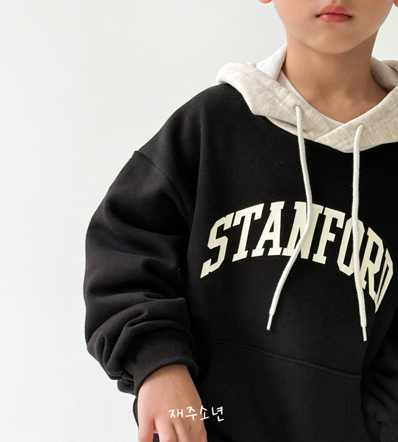 Witty Boy - Korean Children Fashion - #fashionkids - Stanford Hoodie - 3