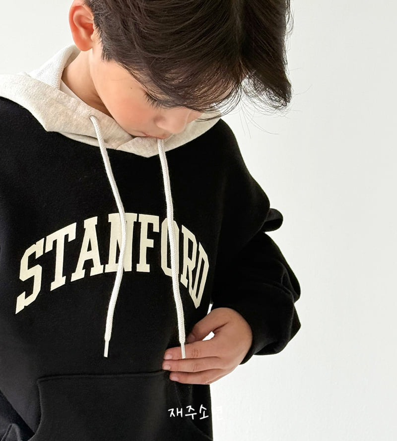 Witty Boy - Korean Children Fashion - #fashionkids - Stanford Hoodie - 4