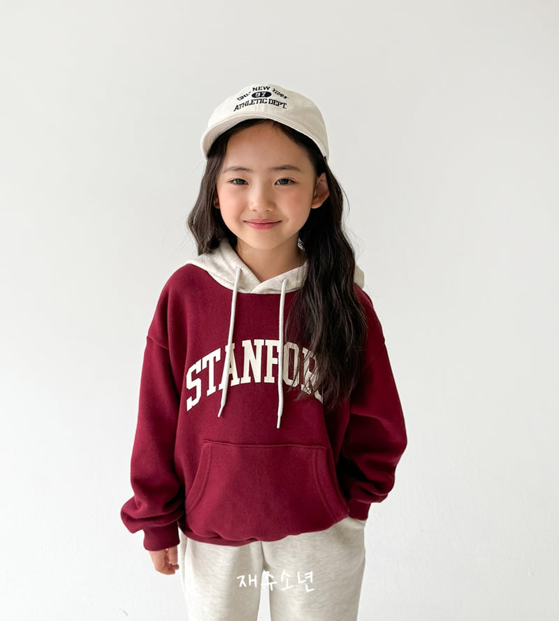 Witty Boy - Korean Children Fashion - #todddlerfashion - Stanford Hoodie - 12
