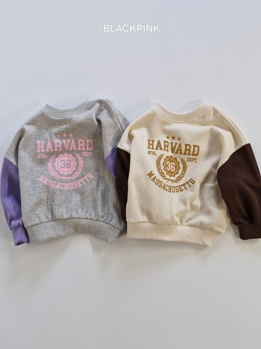 Harvard Raglan Sweatshirt