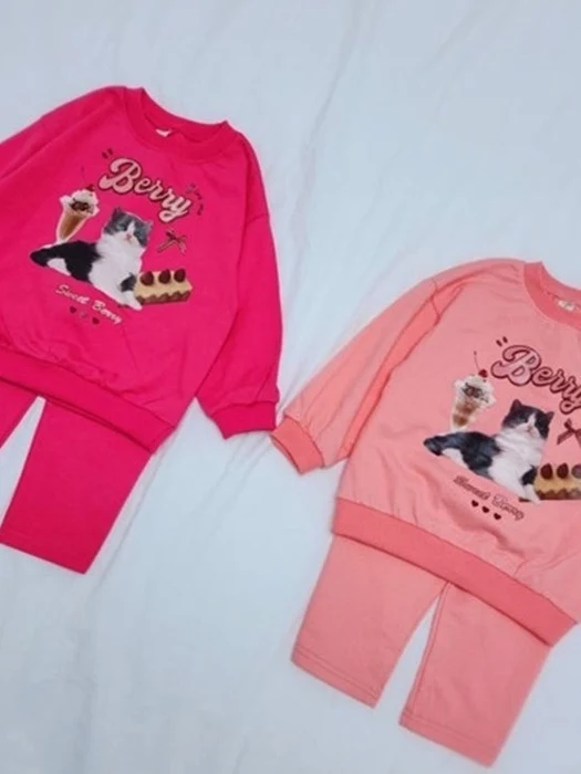 Cat Set Cat Set