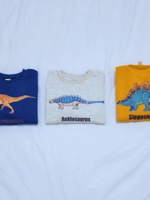 Dino Sweatshirt Dino Sweatshirt