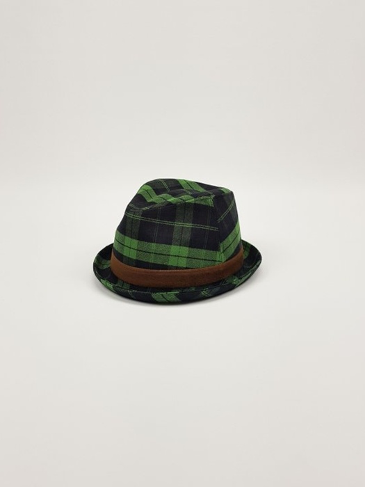 Check Fedora