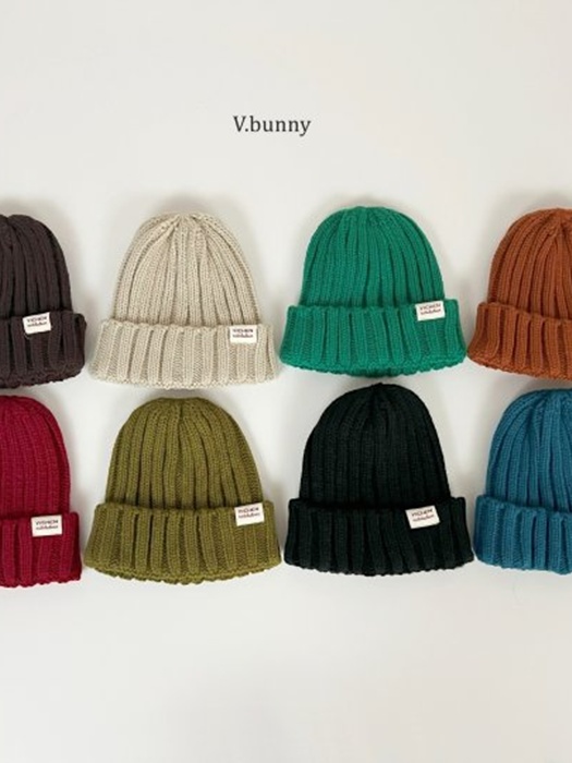 Cozy Beanie