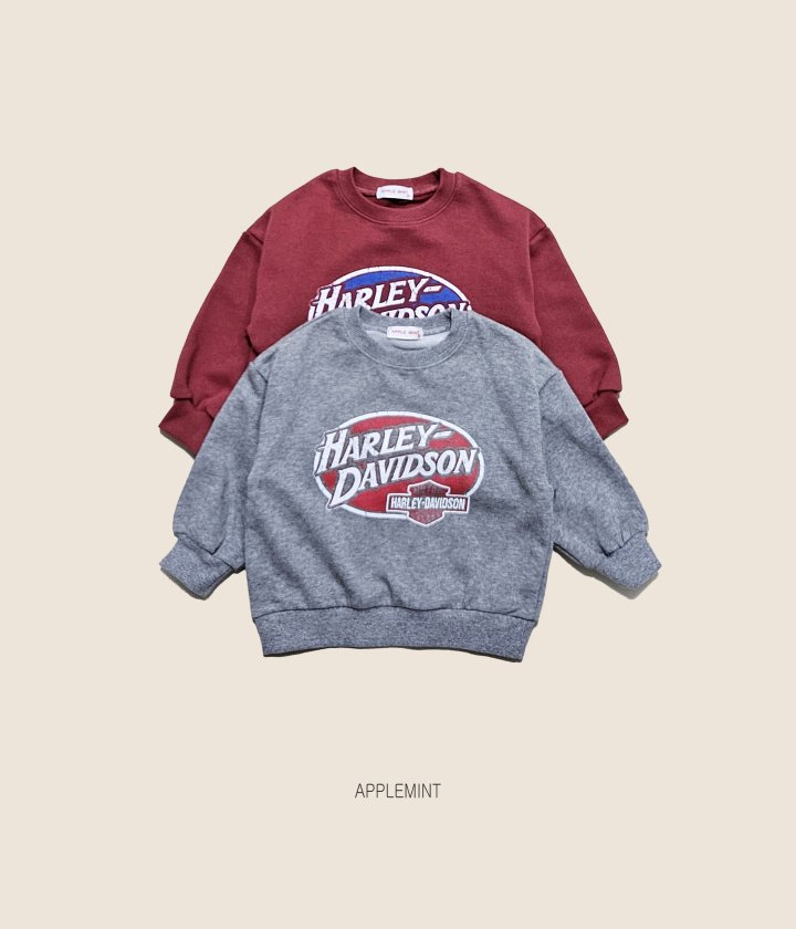 Applemint - Korean Children Fashion - #childofig - Harley Sweatshirt - 2