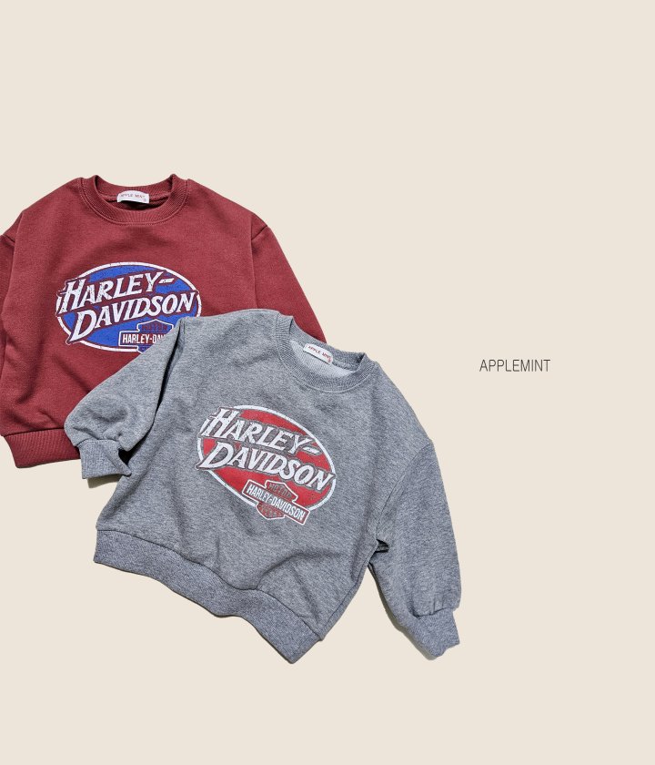 Applemint - Korean Children Fashion - #childofig - Harley Sweatshirt - 3