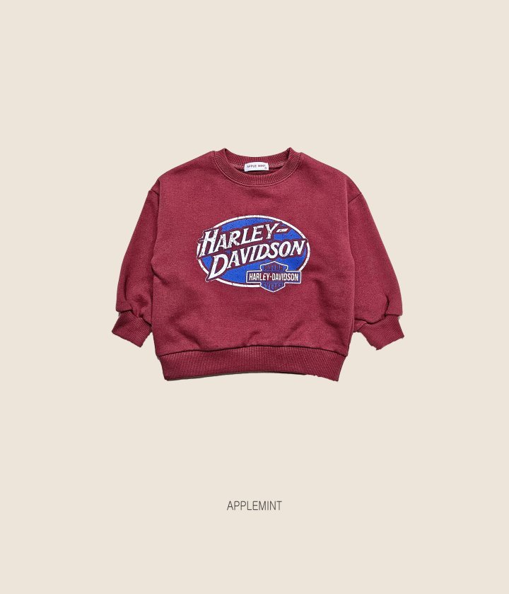 Applemint - Korean Children Fashion - #fashionkids - Harley Sweatshirt - 7