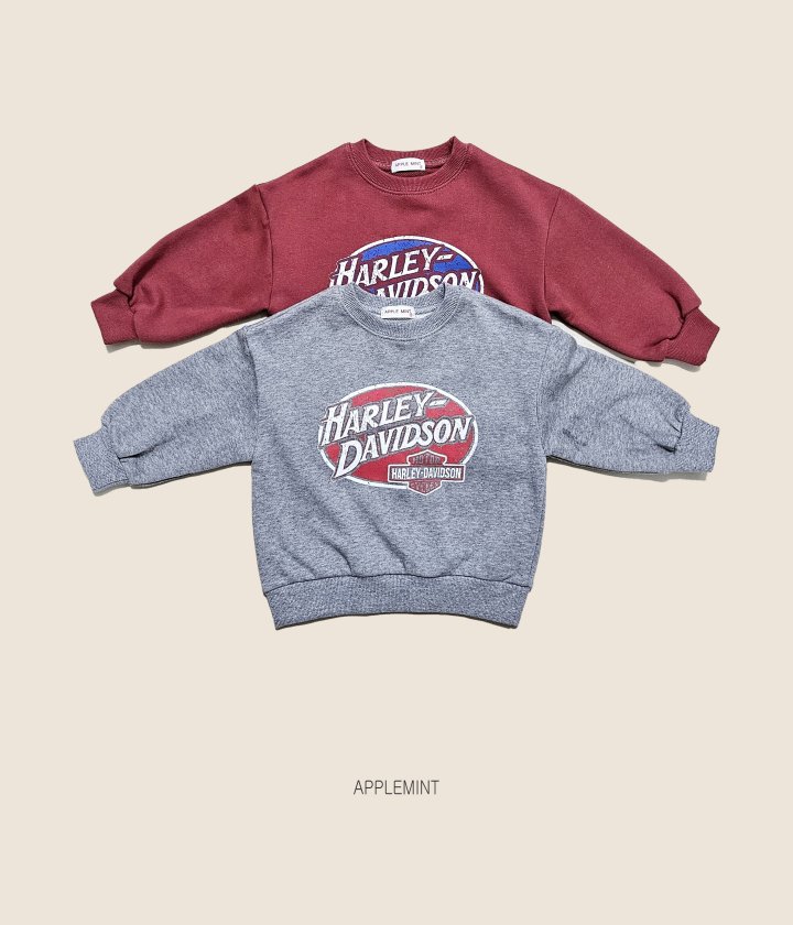 Applemint - Korean Children Fashion - #kidsshorts - Harley Sweatshirt - 8