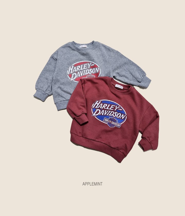 Applemint - Korean Children Fashion - #kidsstore - Harley Sweatshirt - 9