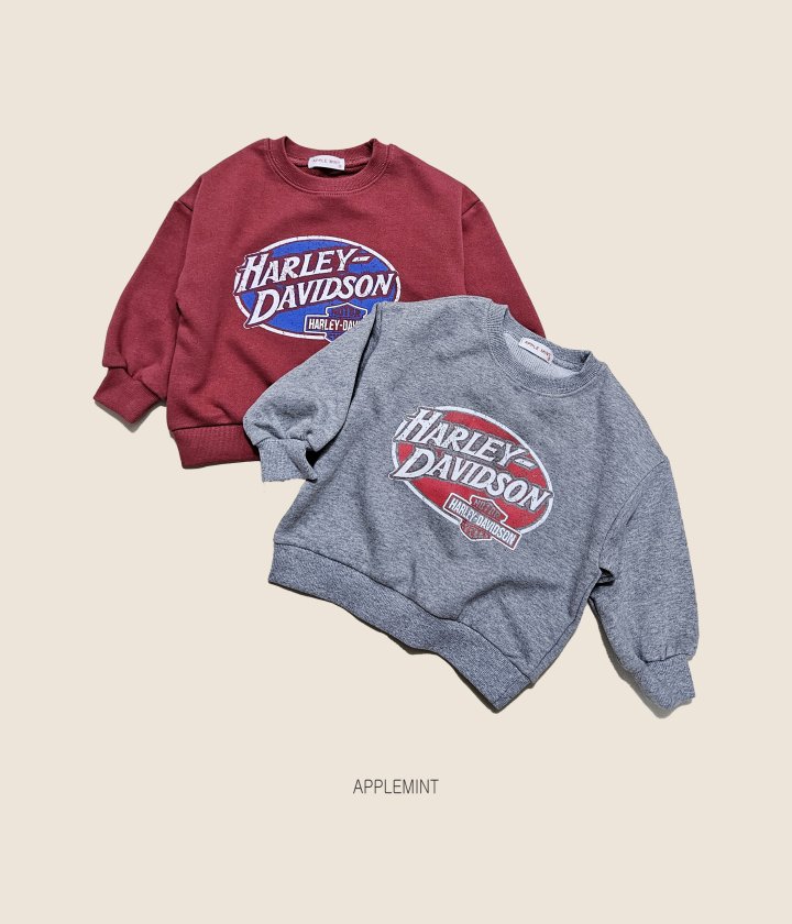 Applemint - Korean Children Fashion - #prettylittlegirls - Harley Sweatshirt