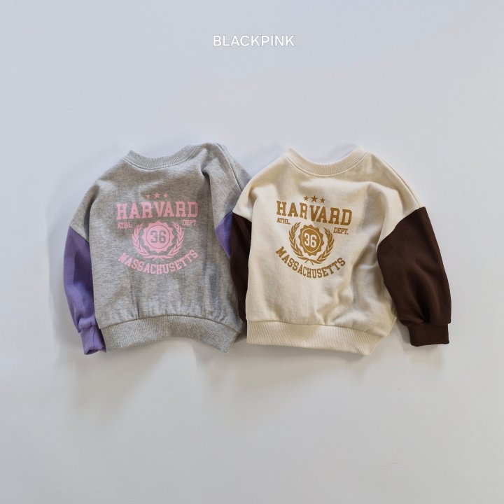 Black Pink - Korean Children Fashion - #littlefashionista - Harvard Raglan Sweatshirt
