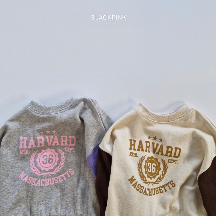 Black Pink - Korean Children Fashion - #minifashionista - Harvard Raglan Sweatshirt - 3