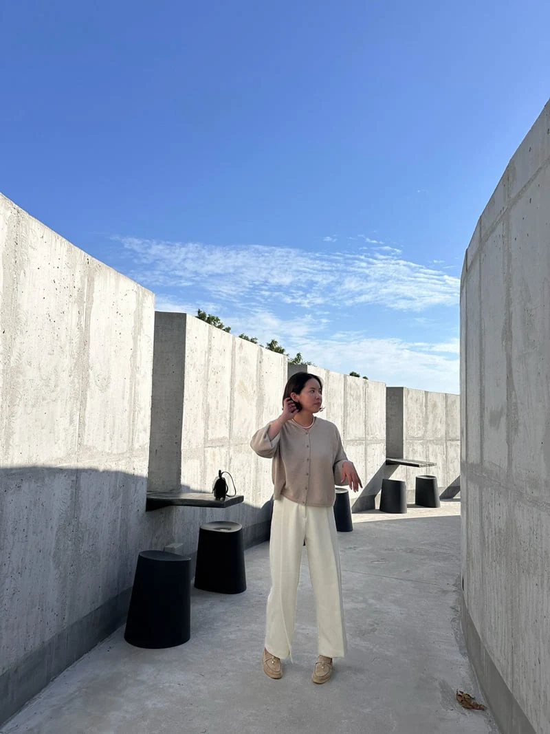 Have - Korean Women Fashion - #thatsdarling - Tuck Wing Pants - 11