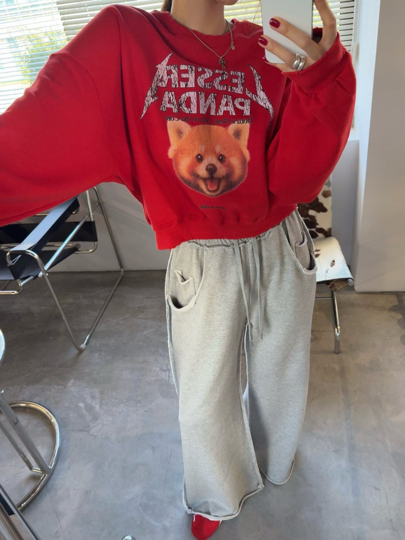 Moran Women - Korean Women Fashion - #momslook - Lesser Panda Sweatshirt - 2