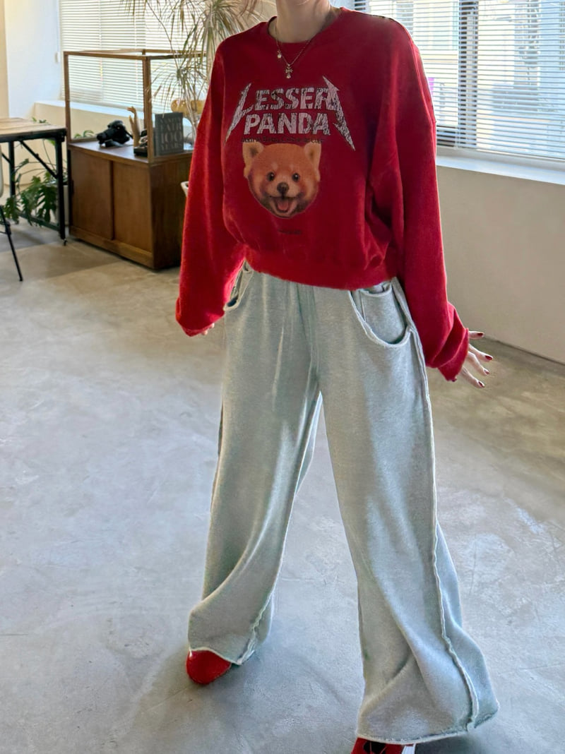 Moran Women - Korean Women Fashion - #womensfashion - Lesser Panda Sweatshirt - 4