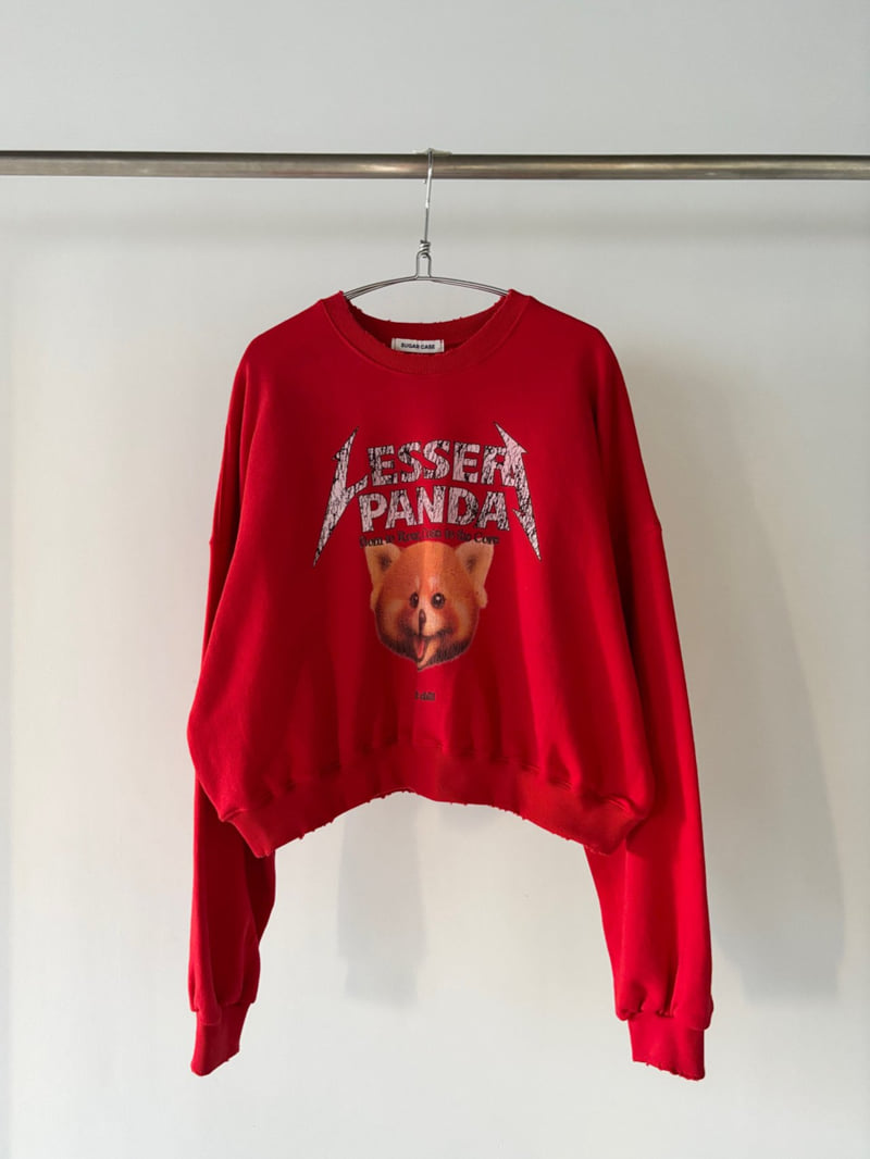 Moran Women - Korean Women Fashion - #momslook - Lesser Panda Sweatshirt - 8