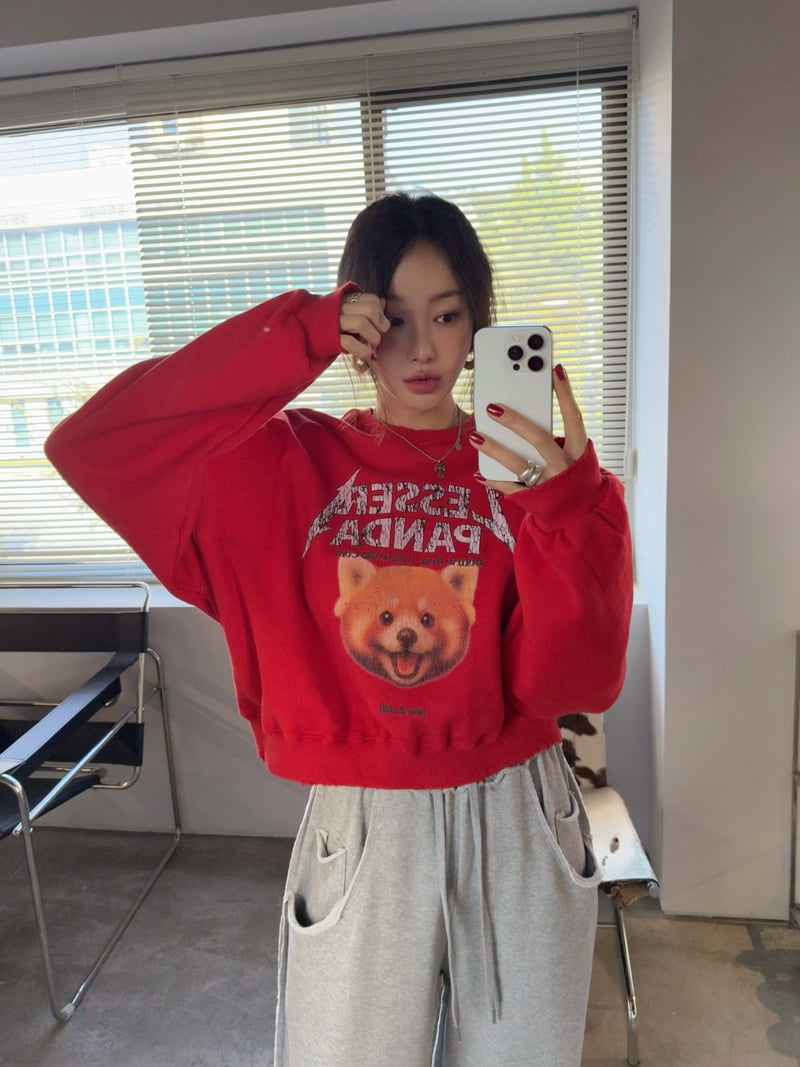 Moran Women - Korean Women Fashion - #womensfashion - Lesser Panda Sweatshirt