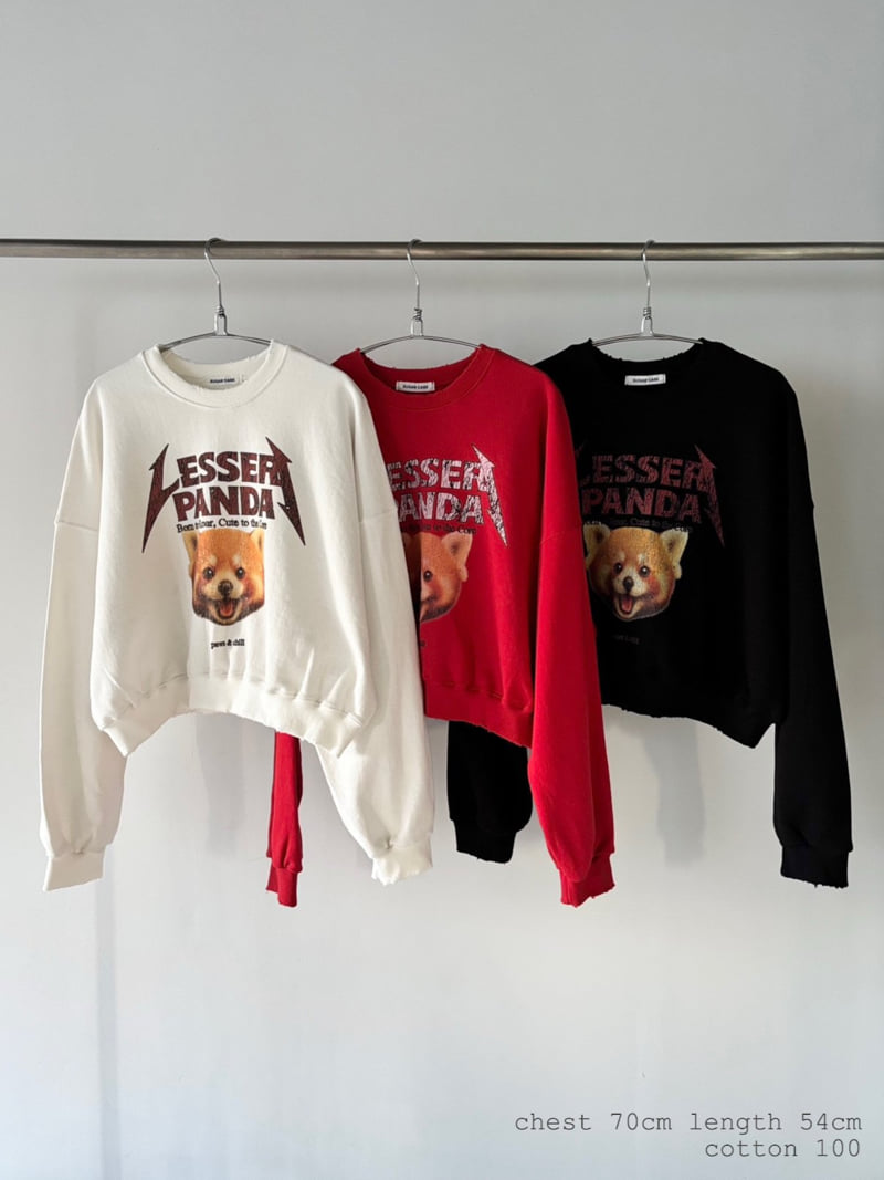 Moran Women - Korean Women Fashion - #womensfashion - Lesser Panda Sweatshirt - 5