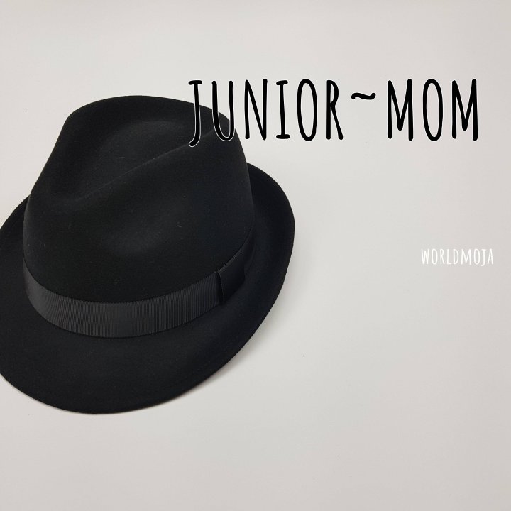 New World - Korean Women Fashion - #womensfashion - Felt Fedora (Adult)