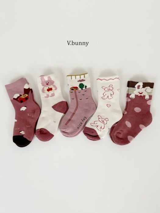 House Socks Set