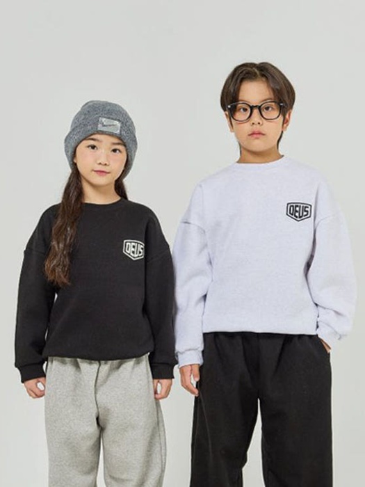 EX Sweatshirt (Adult)