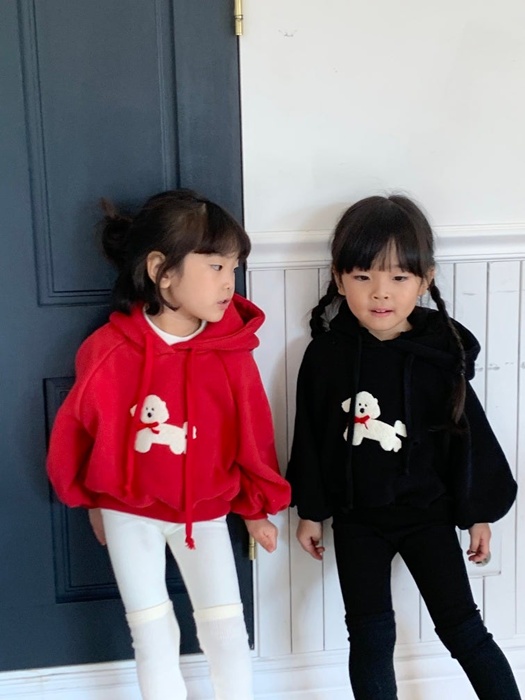 Dog Hoodie Dog Hoodie