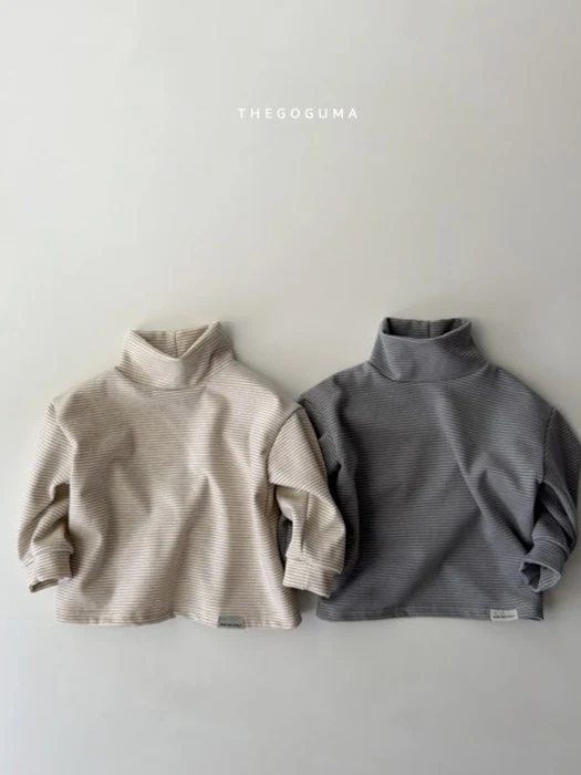 Multi Striped Turtleneck Tee