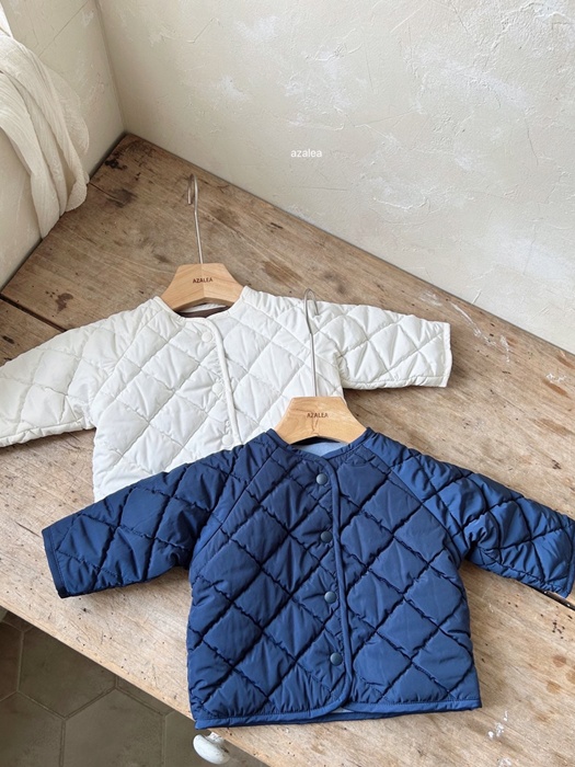 Bebe Standard Padding