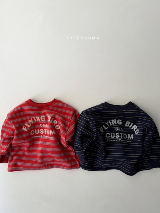 Flying Striped Tee