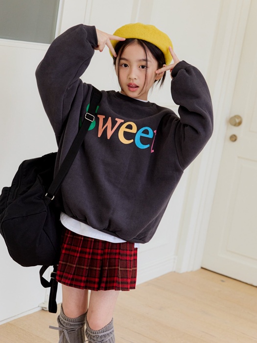 Check Wool Pleated Skirt Pants