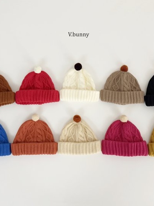 Pom Pom Beanie