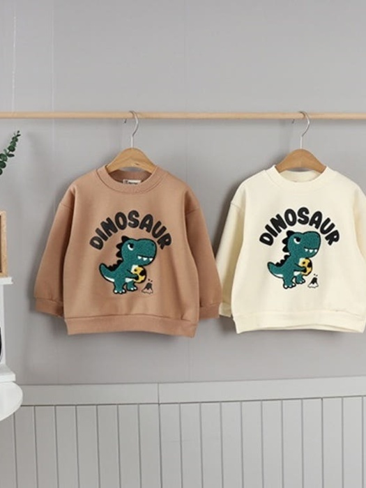 Fleece Dino Sweatshirt