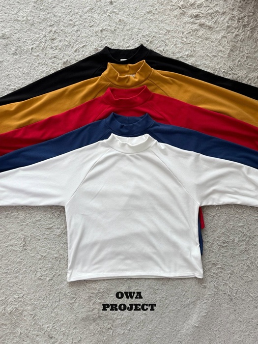 Basic Turtleneck Tee