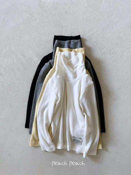 Basil Turtleneck Tee