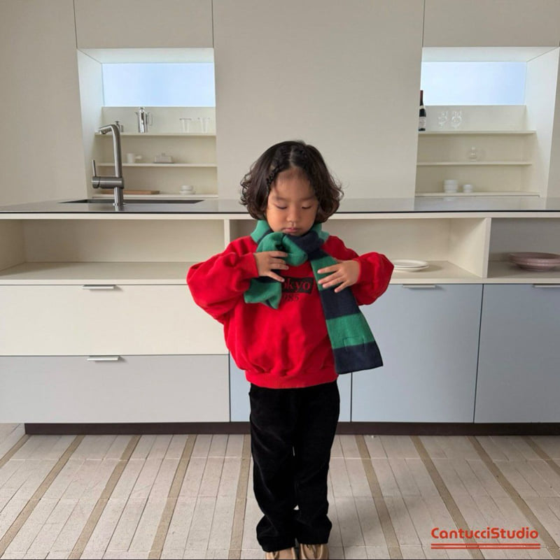 Cantucci Studio - Korean Children Fashion - #discoveringself - Harry Potter Muffler - 11
