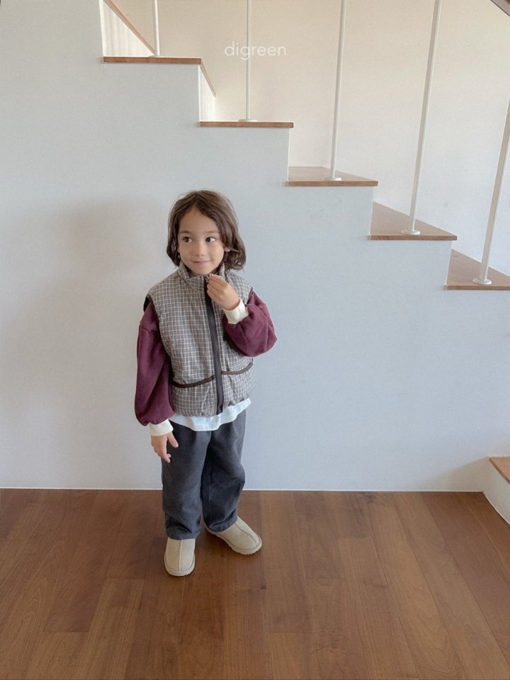 Digreen - Korean Children Fashion - #kidsshorts - Reversible Check Vest - 12