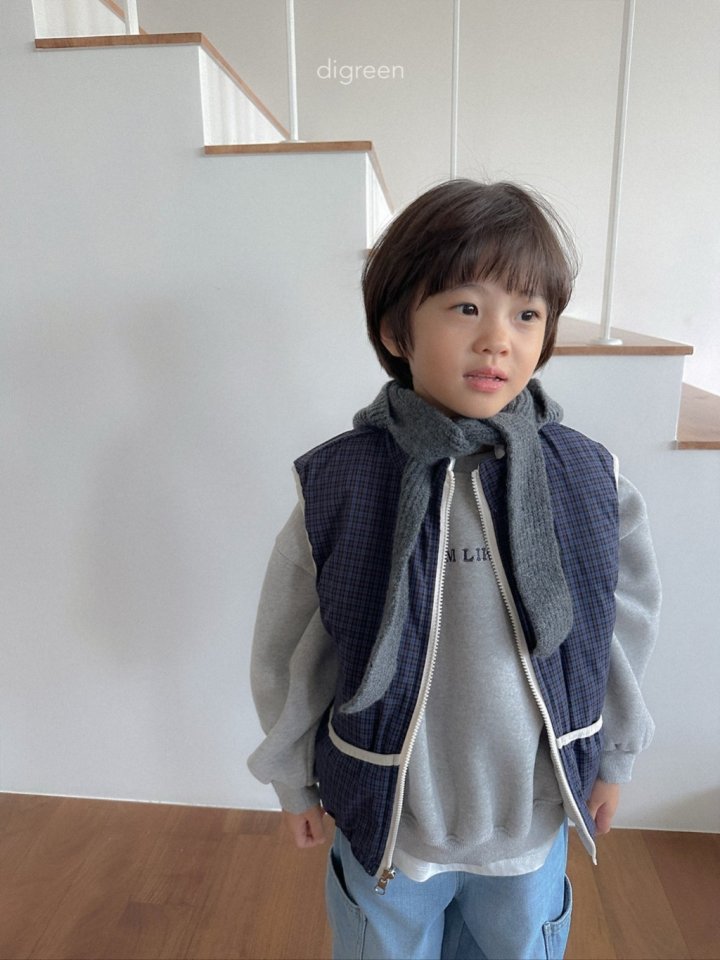 Digreen - Korean Children Fashion - #prettylittlegirls - Reversible Check Vest - 5