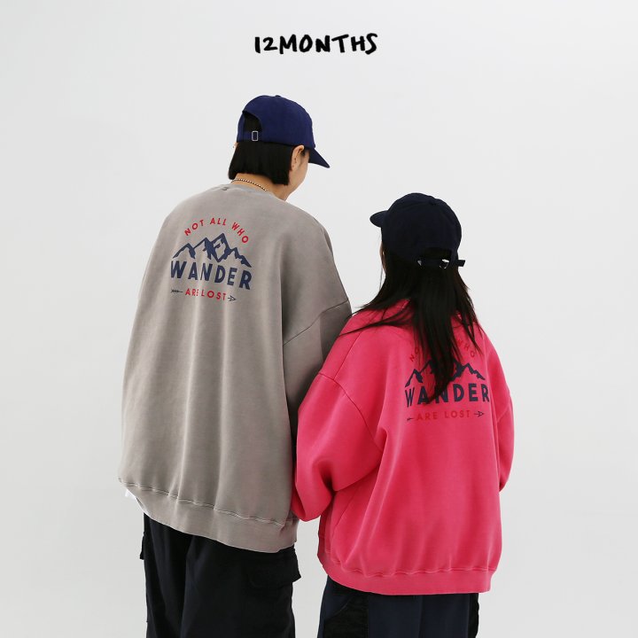 12 Month - Korean Women Fashion - #momslook - Wonder Pig Sweatshirt (Adult) - 7