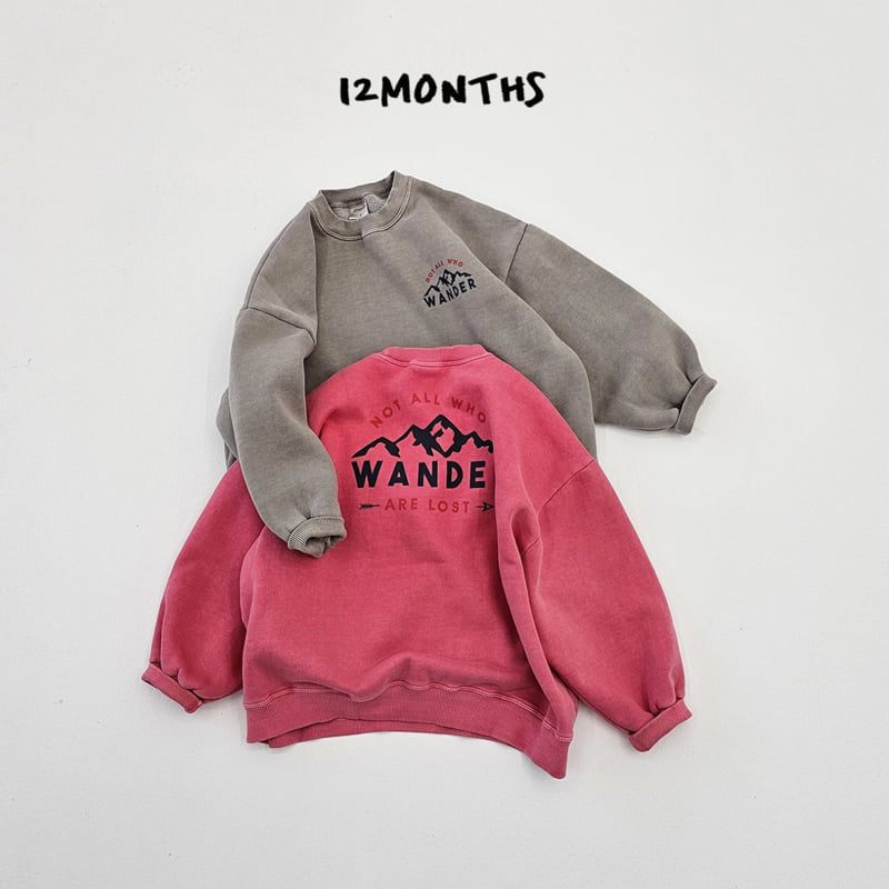 12 Month - Korean Women Fashion - #thatsdarling - Wonder Pig Sweatshirt (Adult)