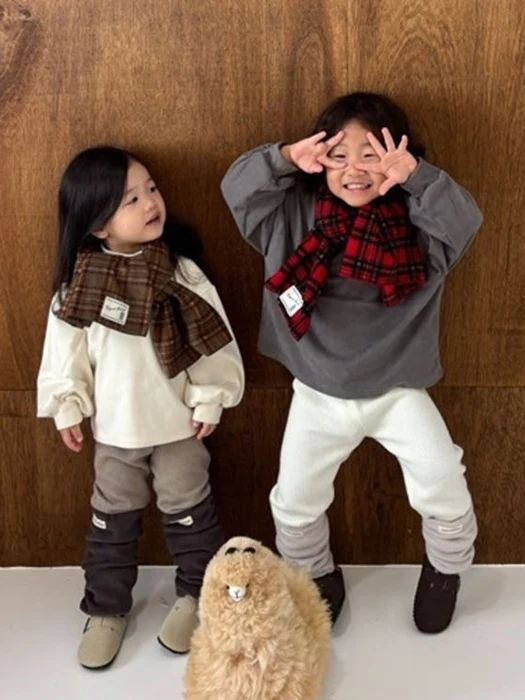 Yogurt Muffler (Check)