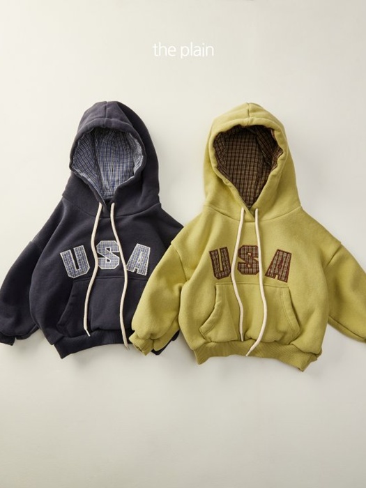 USA Check Hoodie